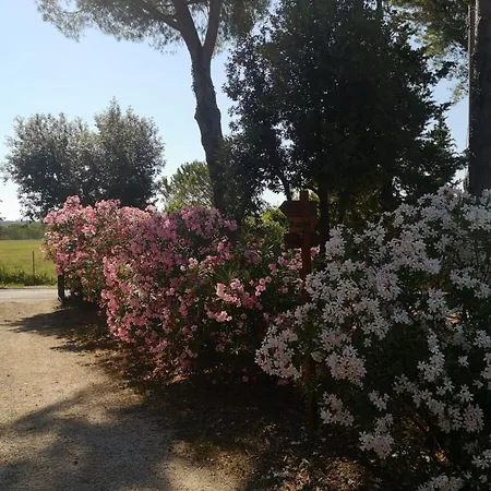 Σπίτι διακοπών Podere Simonetta - A13 *
