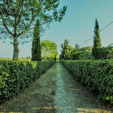 Podere Simonetta - A13 Σπίτι διακοπών